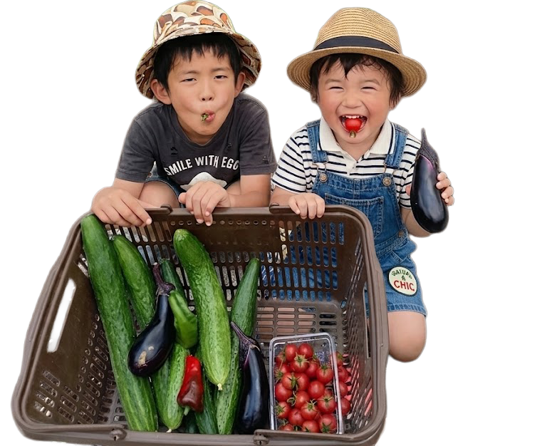 畑で楽しむ子どもたち