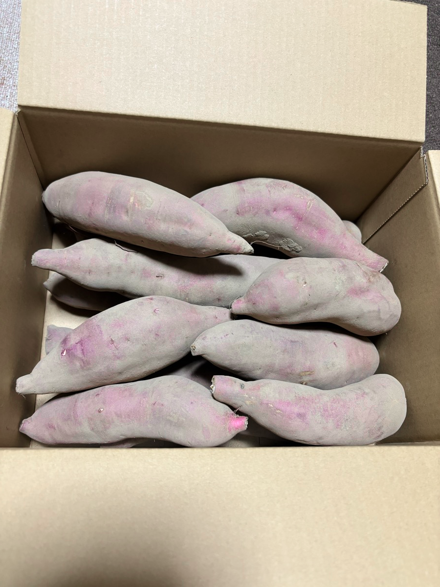 箱に詰められた蜜の罠のさつまいも